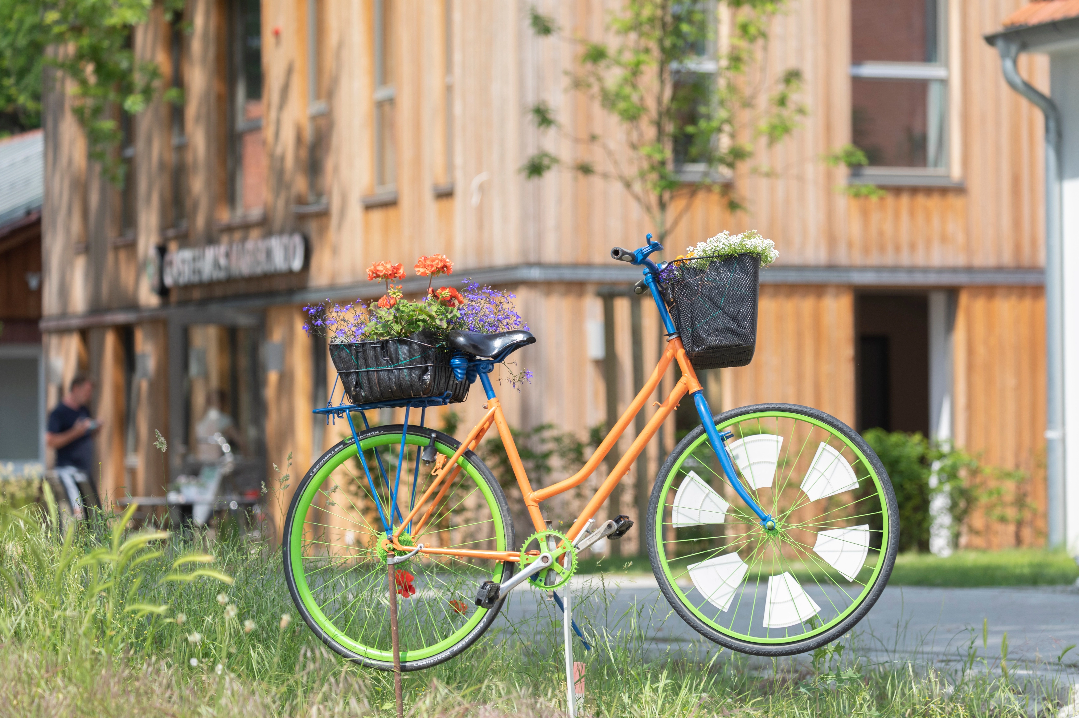 Ein buntes Fahrrad auf einer Wiese vor einem Holzhaus