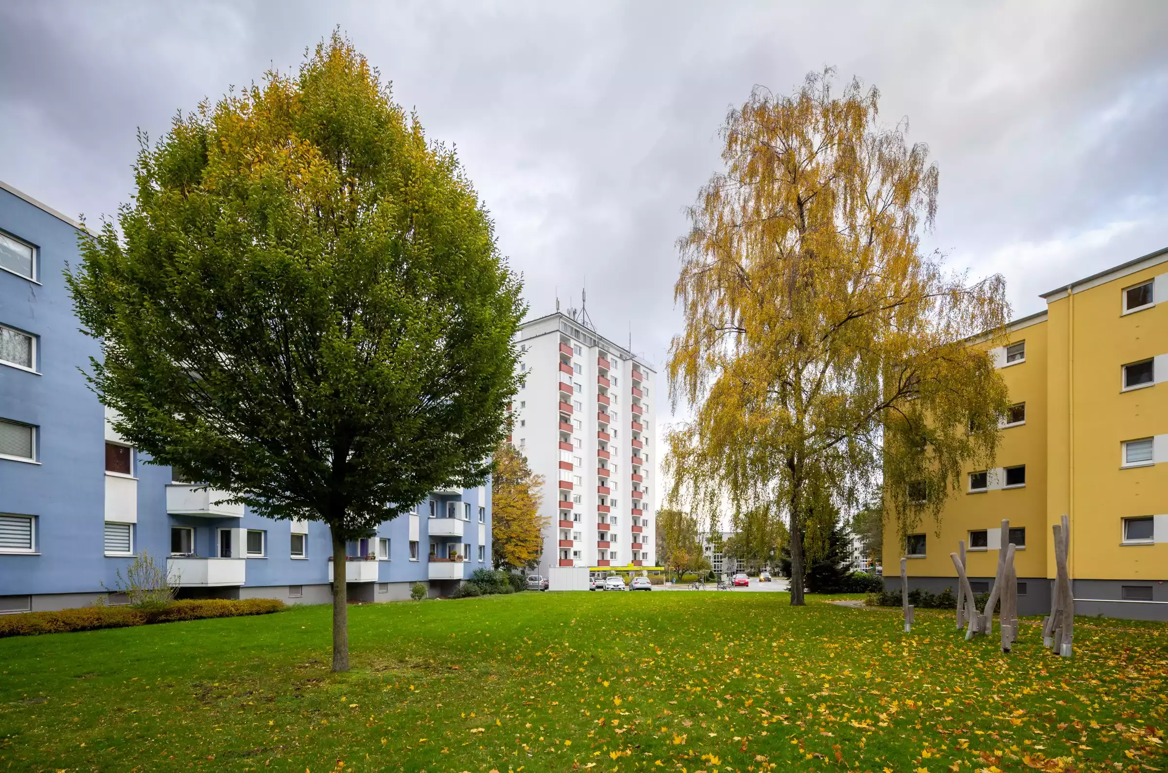 Herbstliche Bäume vor einem blauen und einem gelben Häuserblock